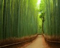 /album/%ed%8f%ac%ed%86%a0%ea%b0%a4%eb%9f%ac%eb%a6%ac/unbelievable-places-3-1-jpg/